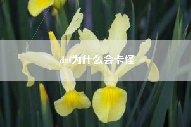 dnf为什么会卡怪