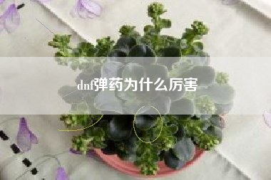 dnf弹药为什么厉害