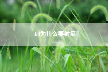 dnf为什么要射箭