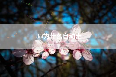 dnf为什么自动走