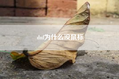 dnf为什么没鼠标