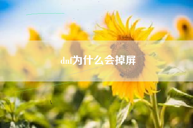 dnf为什么会掉屏