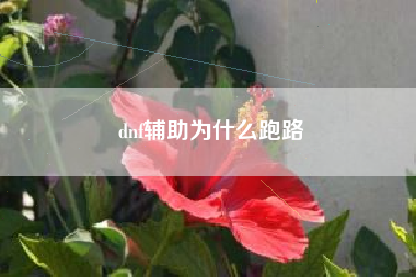 dnf辅助为什么跑路