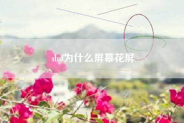 dnf为什么屏幕花屏