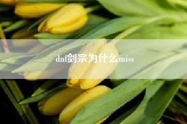 dnf剑宗为什么miss