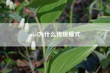 dnf为什么传统模式