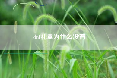 dnf礼盒为什么没有