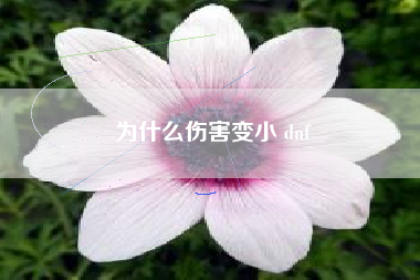 为什么伤害变小 dnf