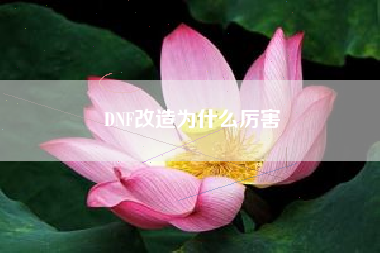 DNF改造为什么厉害