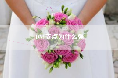 DNF支点为什么强