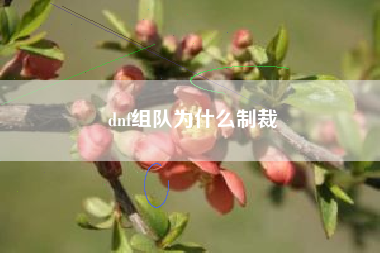 dnf组队为什么制裁