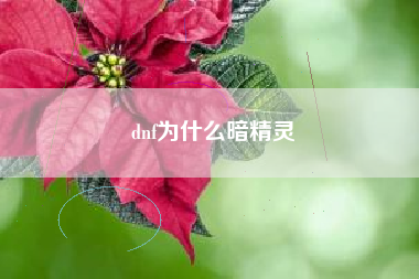 dnf为什么暗精灵