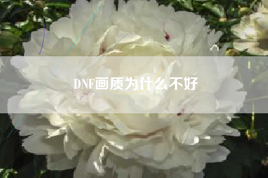 DNF画质为什么不好