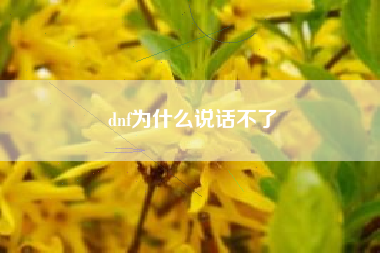 dnf为什么说话不了