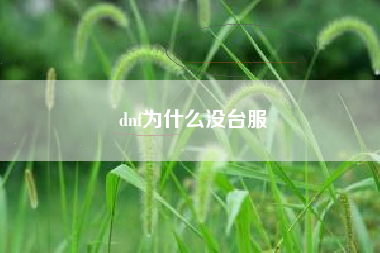 dnf为什么没台服