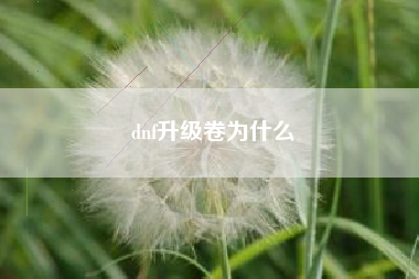 dnf升级卷为什么