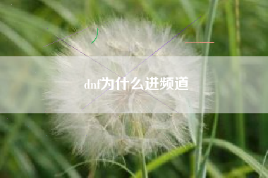 dnf为什么进频道