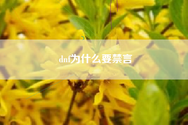 dnf为什么要禁言