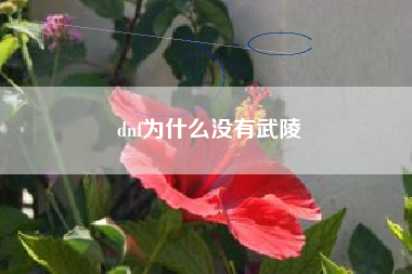 dnf为什么没有武陵