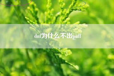 dnf为什么不出puff