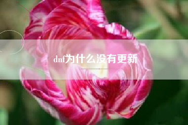 dnf为什么没有更新