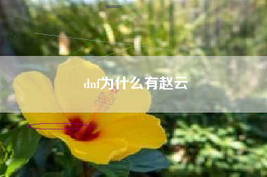 dnf为什么有赵云