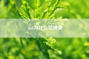 dnf为什么总冲突