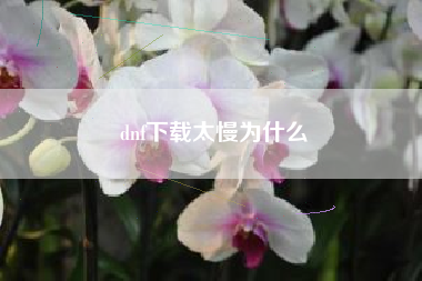 dnf下载太慢为什么