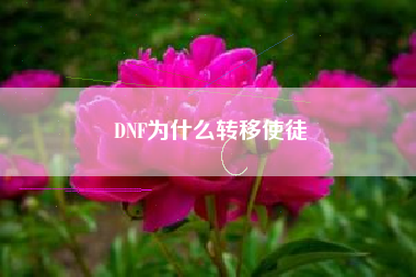 DNF为什么转移使徒