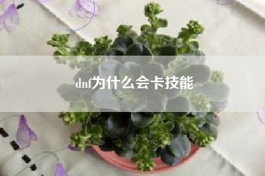 dnf为什么会卡技能