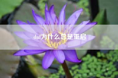 dnf为什么总是重启