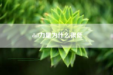 dnf力量为什么很低