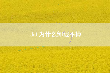 dnf 为什么卸载不掉