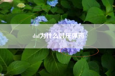 dnf为什么讨厌弹药