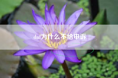 dnf为什么不给申诉