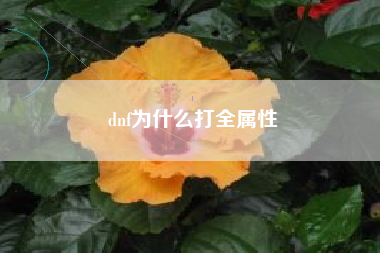 dnf为什么打全属性