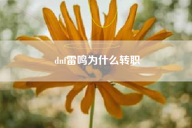 dnf雷鸣为什么转职