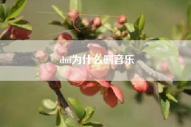 dnf为什么删音乐