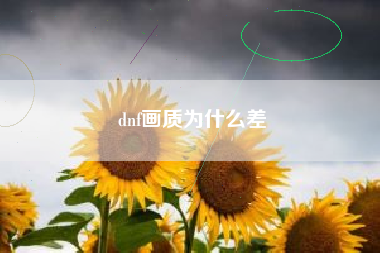 dnf画质为什么差