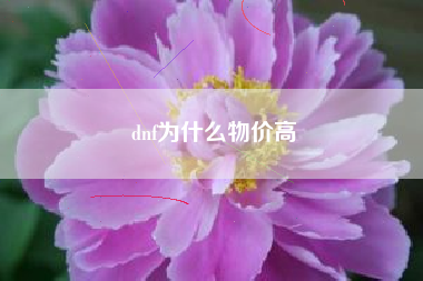 dnf为什么物价高