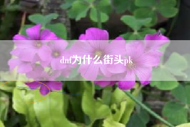 dnf为什么街头pk