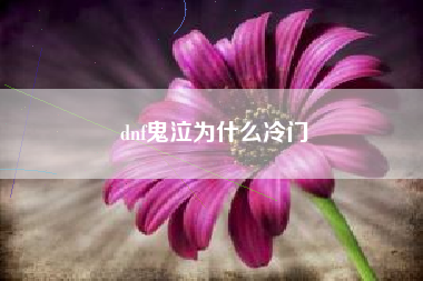 dnf鬼泣为什么冷门