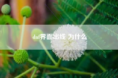 dnf界面出线 为什么