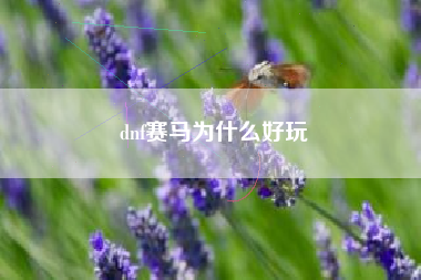 dnf赛马为什么好玩