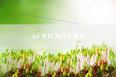 dnf 卡片为什么涨价