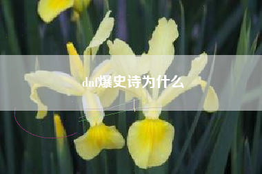 dnf爆史诗为什么