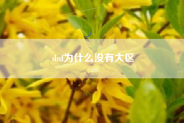 dnf为什么没有大区