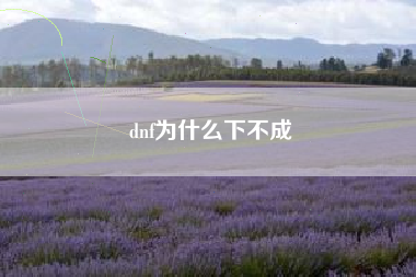 dnf为什么下不成