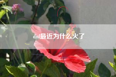 dnf最近为什么火了