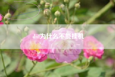 dnf为什么不能挂机